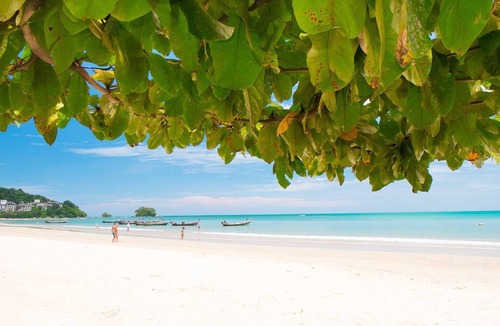 Sa Khu Condo | Safari 1br Pool,Gym walk to Beach
