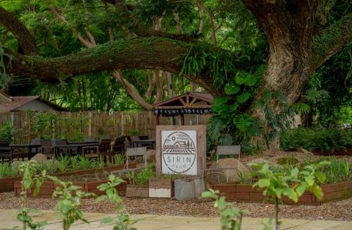 Mae Kon Hotel | Sirin Farm Chiang Rai