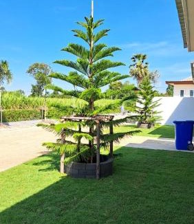 Nong Ki Hotel | Tanya's Cafe & Resort