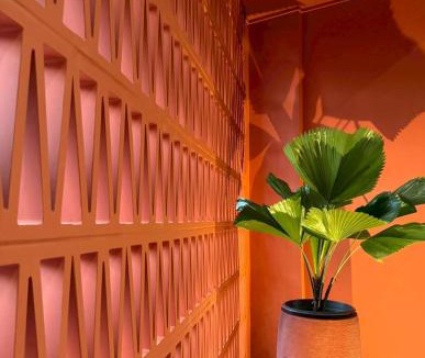 Suan Luang Apartment | TERREST MAISON On Nut