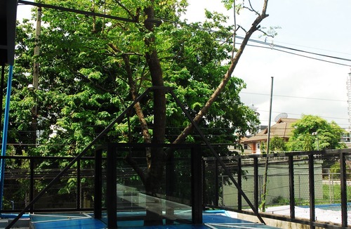 Khlong Toei Hotel | The Art Hostel Bangkok