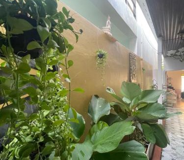Ban Saiyuan House | The Buddha Rawai Villa