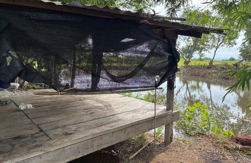 Wichian Buri Bed & Breakfast | The Sawmill Lakeside Hut