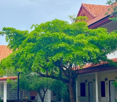 Nam Ruem Hotel | The Terrace Homestay Resort