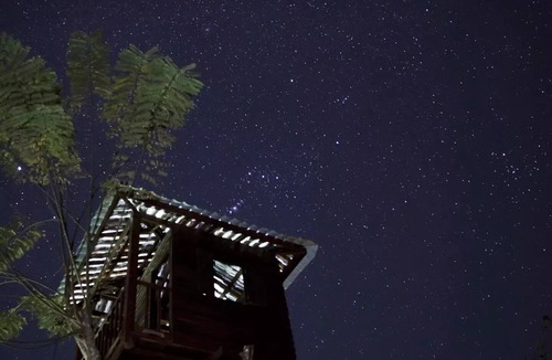 Mae Salong Nai House | Treehouse and swimming pool