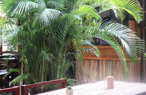 Chang Khlan Hostel | Trekker Camp Chiang Mai - Hostel
