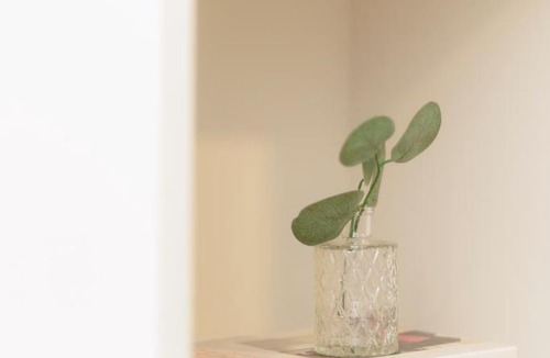 Nong Pa Khrang Apartment | Warm & Homey stay near CentralFestival