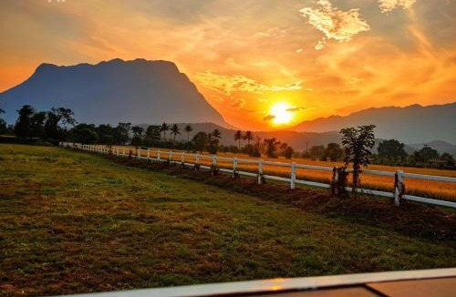 Chiang Dao Other | Western View Chiangdao Camping