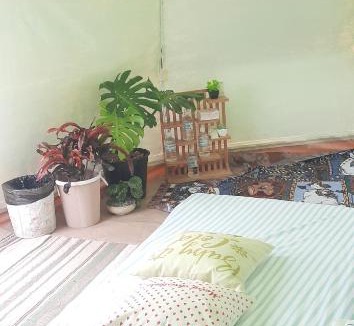 Khao Kho Other | Yafin khaokho Camping