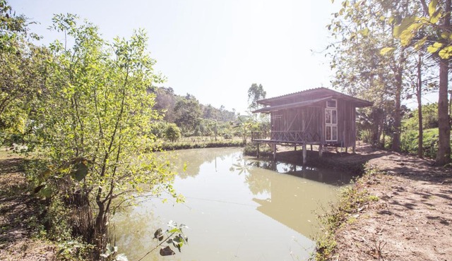 บ้านเพื่อน อยู่ในป่า - Friend's house Homestay Mae Tang