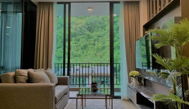 A2 at Forest Khaoyai in Ban Huai Sok Noi