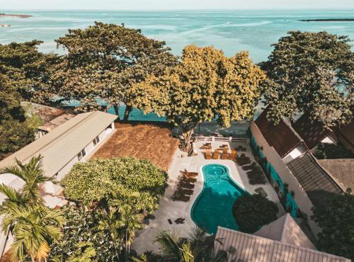 Blue Turtle Hotel Samui in Chaweng