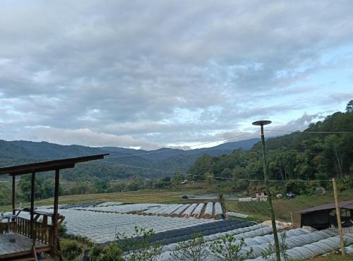 Chanya homestay in Ban Yang