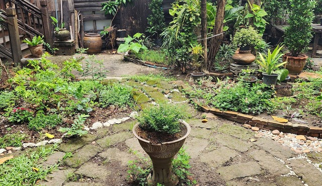 Cozy Nest CNX in the heart of Chiangmai. walking distance train and bus station.