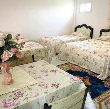 Daddy's homestay