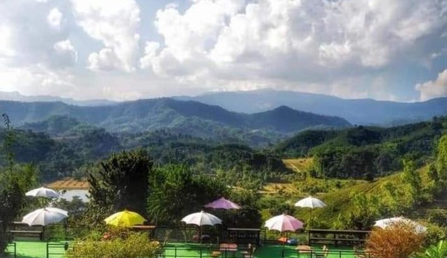 Flower hill 180