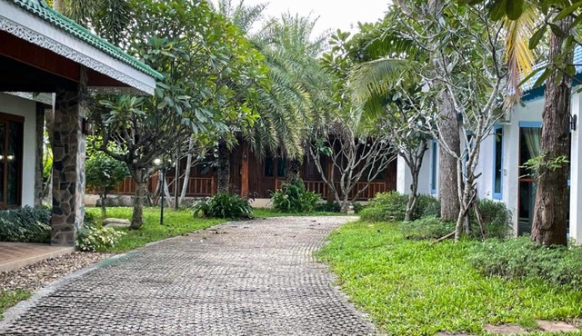 Green tree resort in Ban Klang (1)