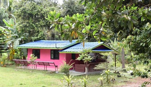 Kama Siri in Ko Kood