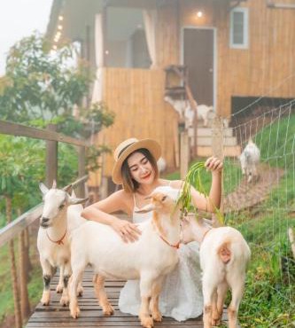 Kirin Farm