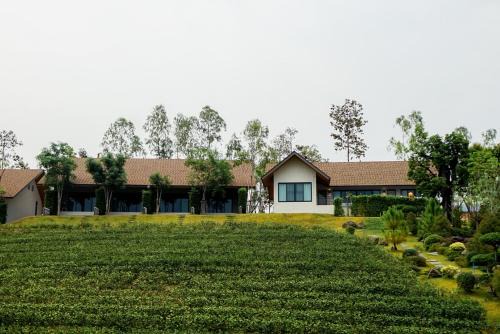 PASSA ผัสสะ Tea Plantation @Mae On
