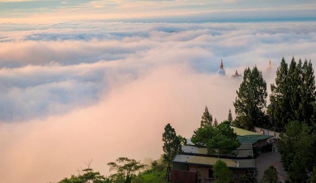 Pino Latte Khao Kho in Khao Kho
