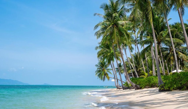 Sea&Sky Beach Resort Beachfront Bungalows & Pool Villas in Mae Nam