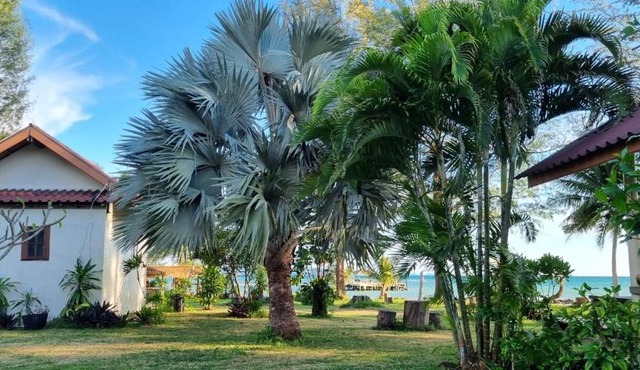 TK Beach Resort Koh Mak in Ko Mak