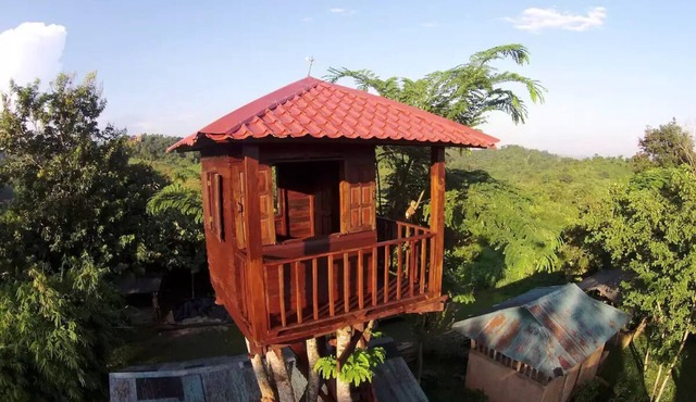 Treehouse and swimming pool