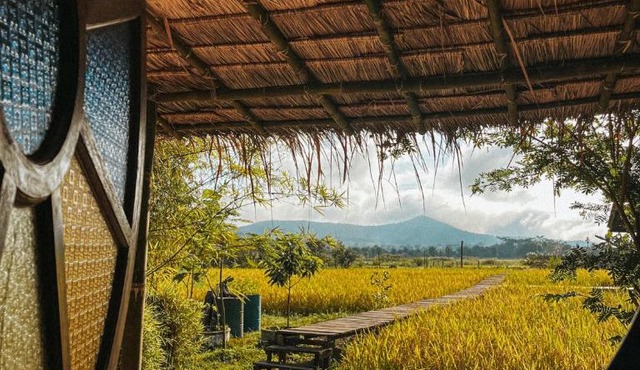 Yidan Farmstay in Chiang Dao in Ban Mae Khon