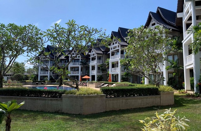 1 BR Allamanda Apartment N 17