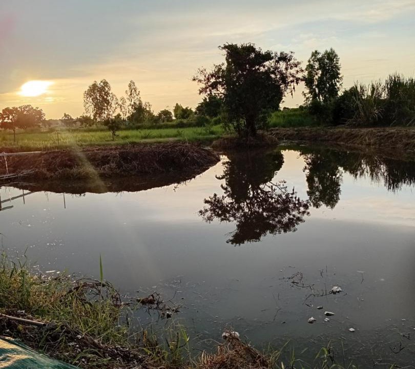 Kumphawapi Resort | เคียงนารีสอร์ทคาเฟ่