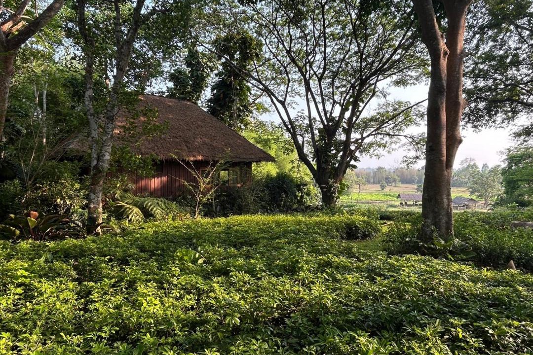 Mae Kon Resort | Pa Sak Tong Estate