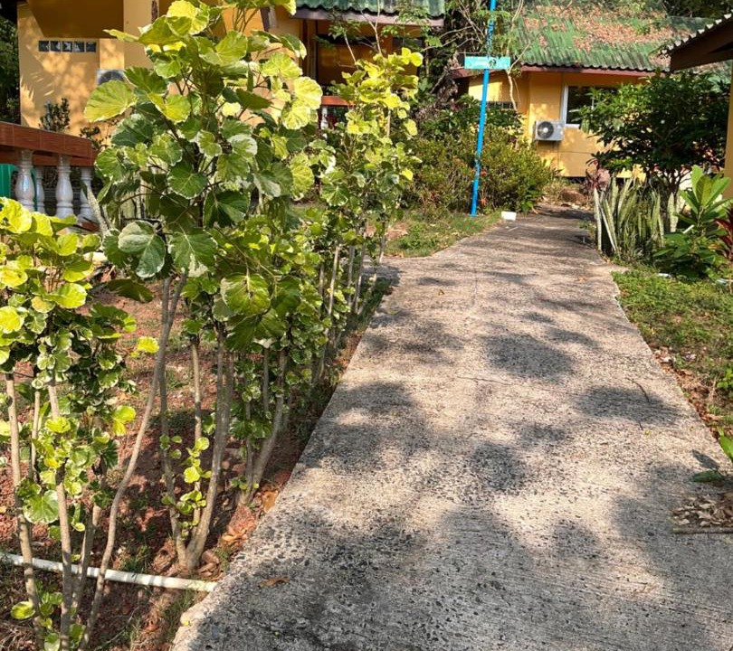 Bang Bao Bay Hostel | elephant garden