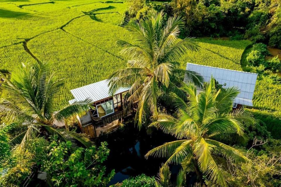 Nan House | ต้งโฮมสเตย์ กลางทุ่งนา Local Homestay and View
