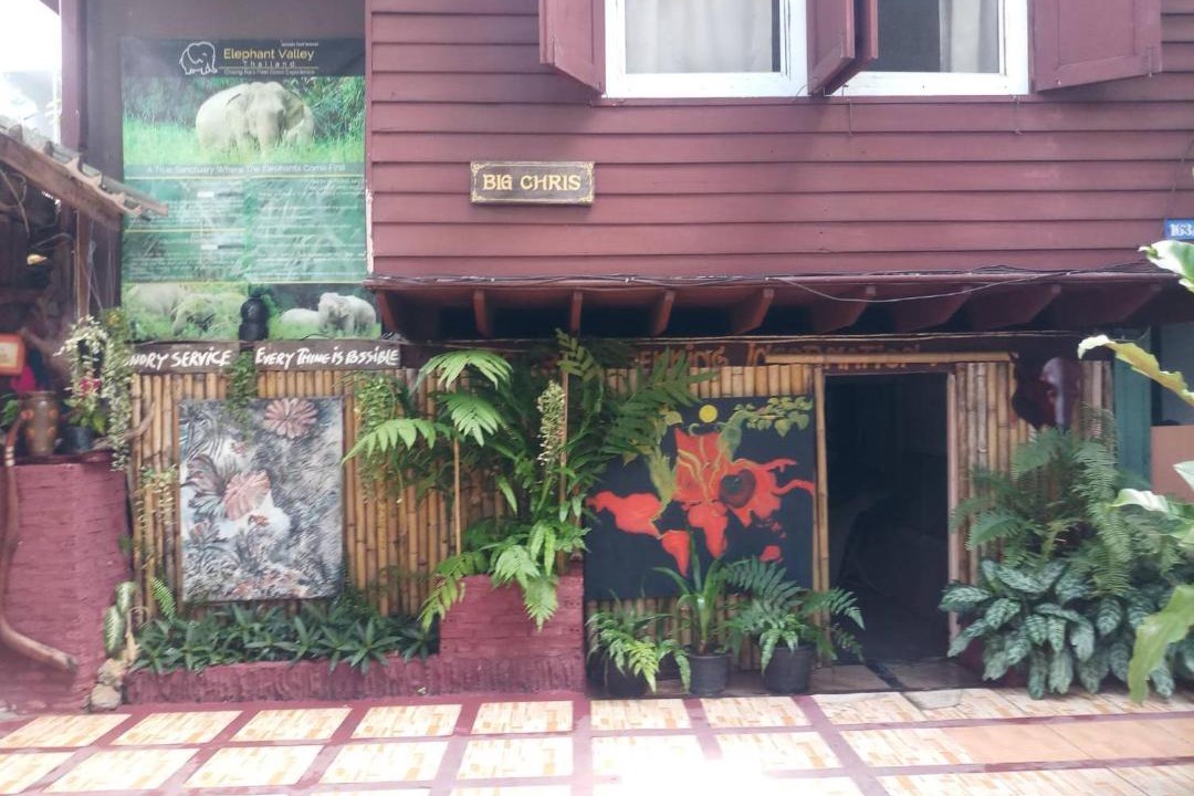 Wieng Hostel | Garden House INChiangrai
