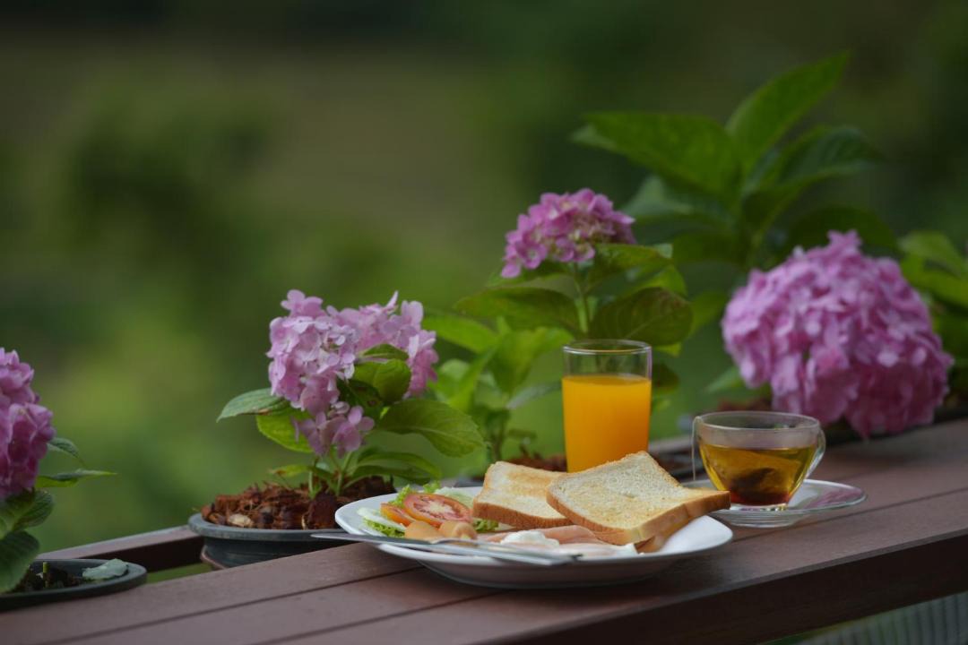 Phu Ruea Hotel | Phurua Bussaba Resort & Spa ภูเรือบุษบารีสอร์ท แอนด์ สปา