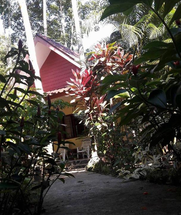 Khlong Sok House | Khao Sok Holiday Resort