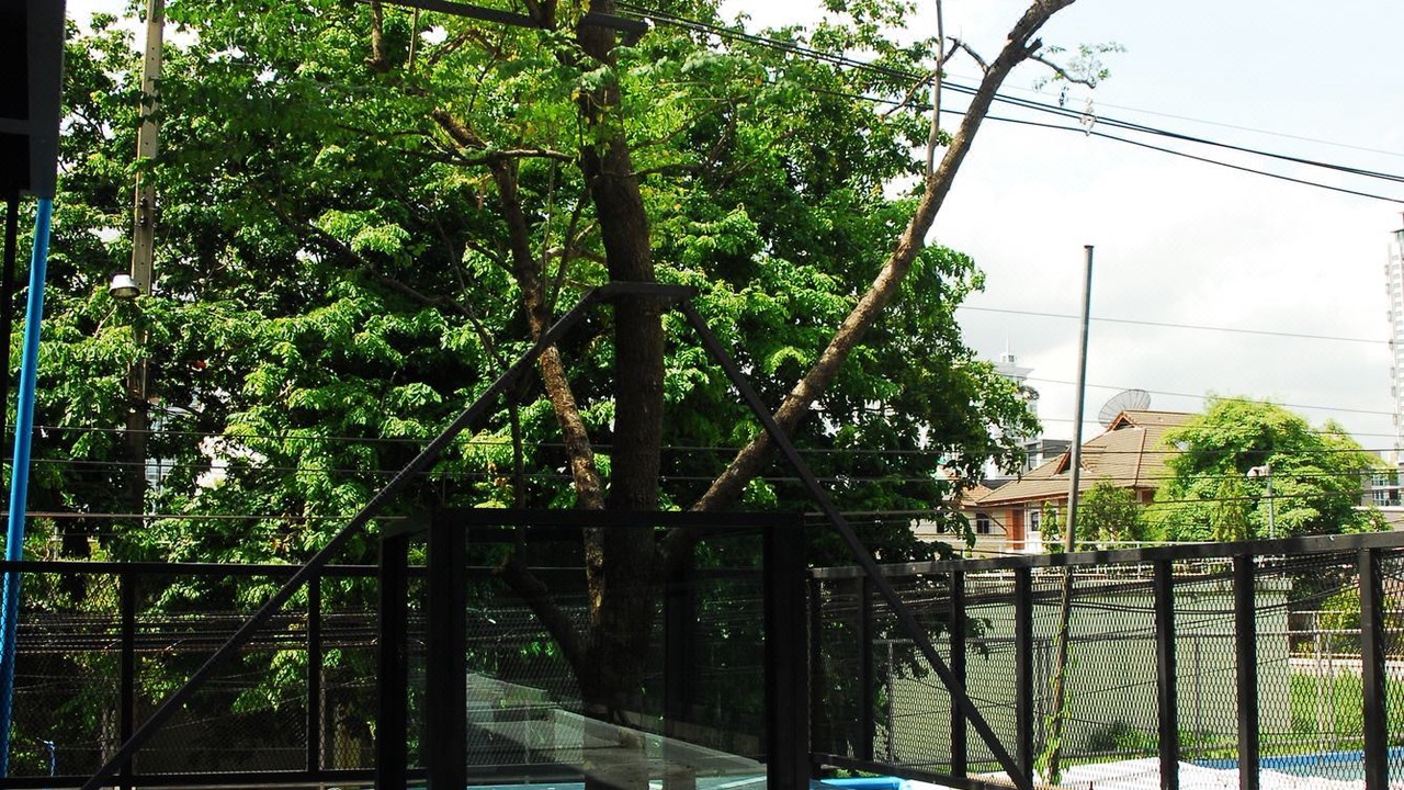 Photo of Outdoor in Khlong Toei