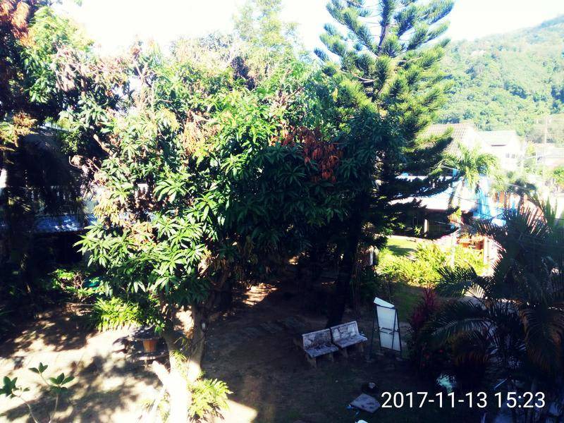 Photo of Others in Nanai Road