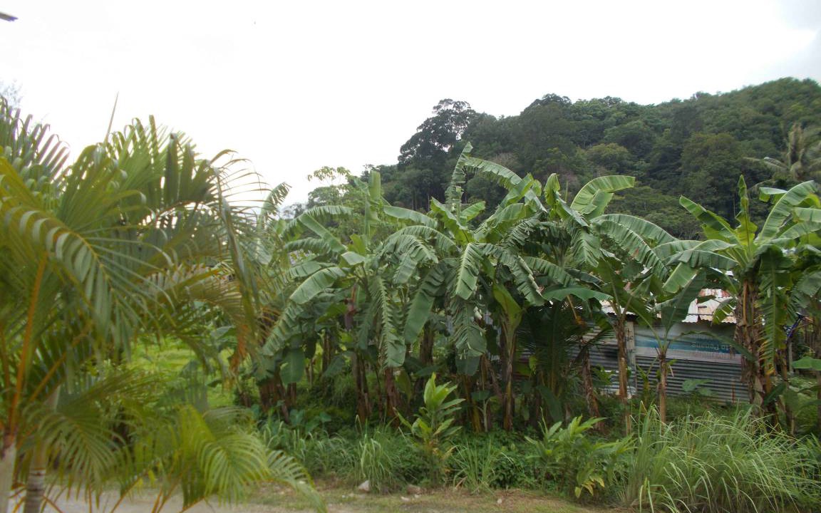 Photo of Others in Kamala