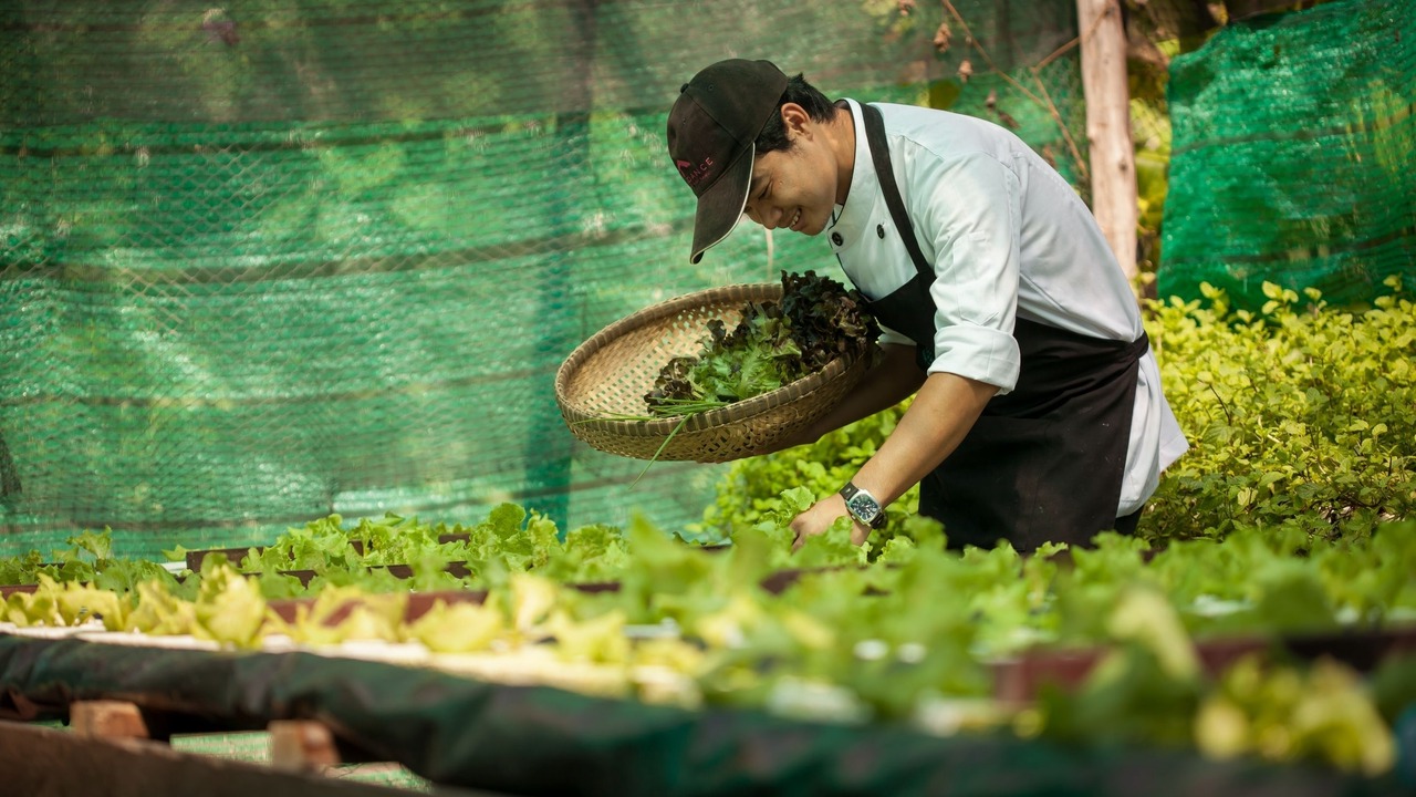 Photo of Others in Bophut