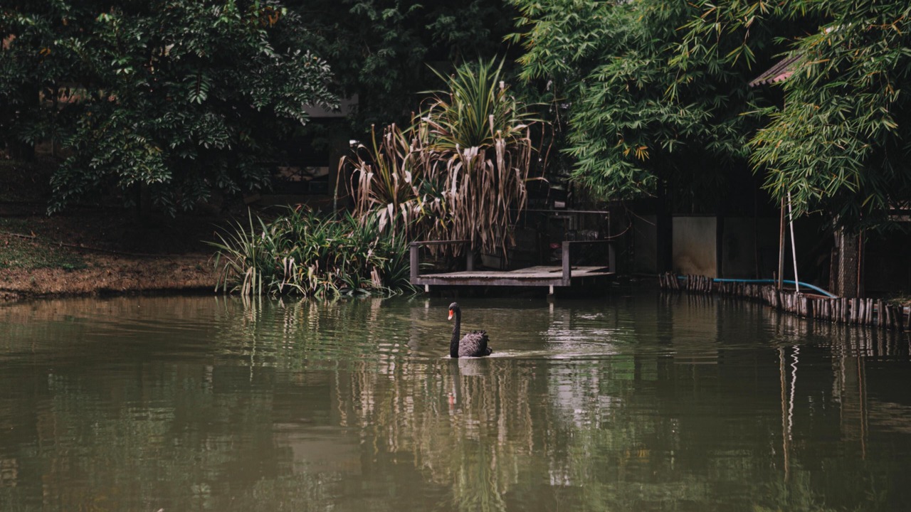 Photo of Outdoor in Mae Rim