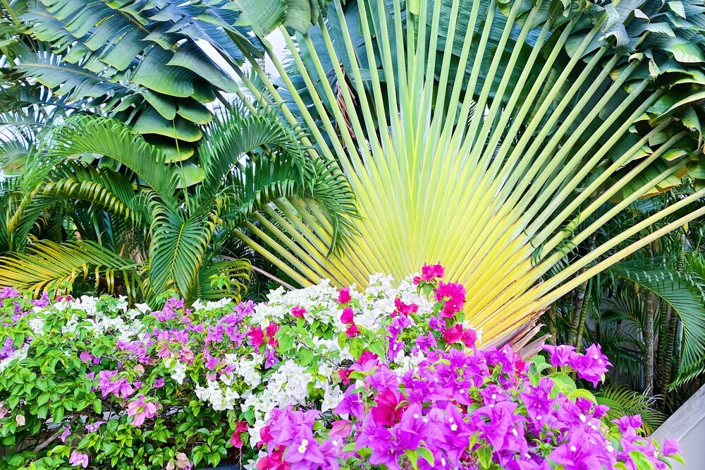 Photo of Outdoor in Cherngtalay