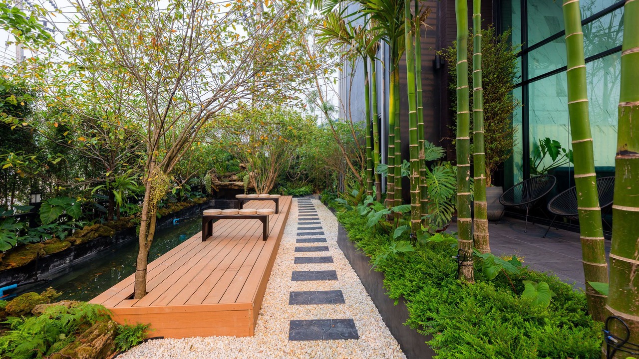 Photo of Outdoor in Chiang Dao