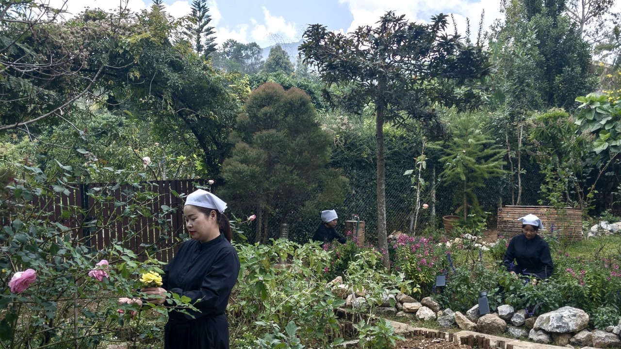 Photo of Outdoor in Pong Yaeng