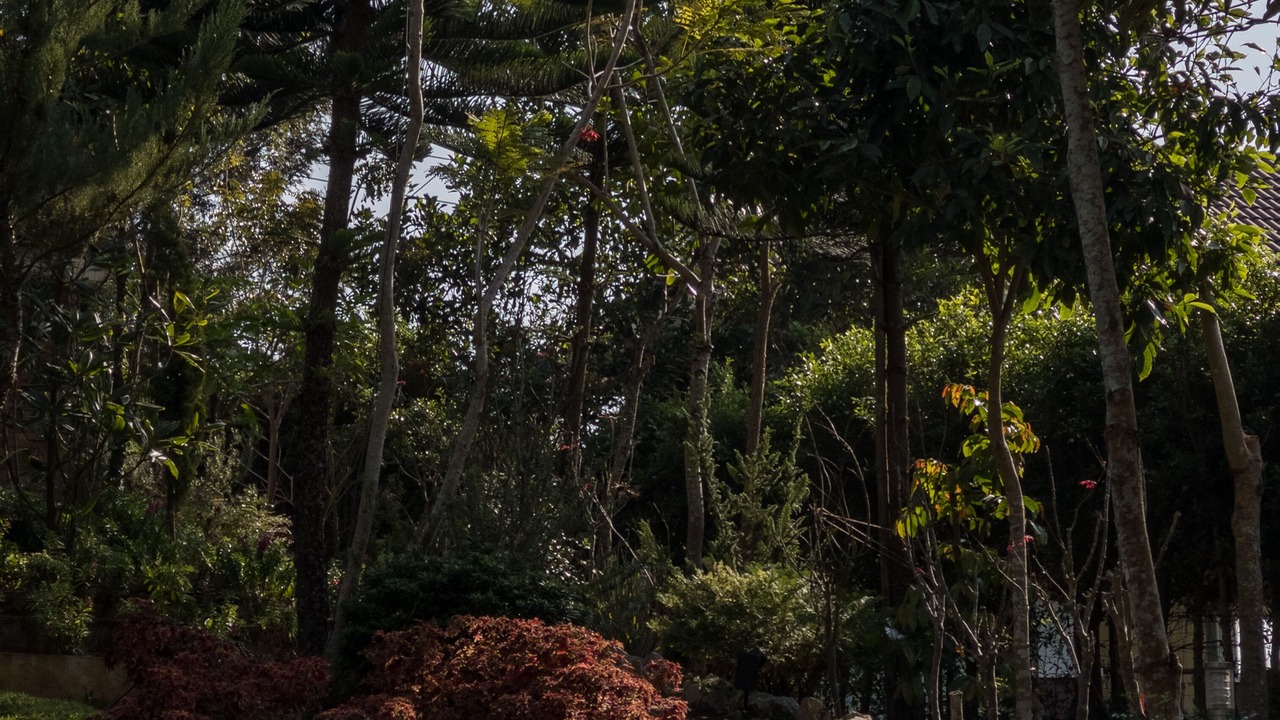 Photo of Outdoor in Pong Yaeng