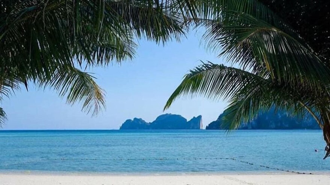 Photo of Others in Ko Phi Phi