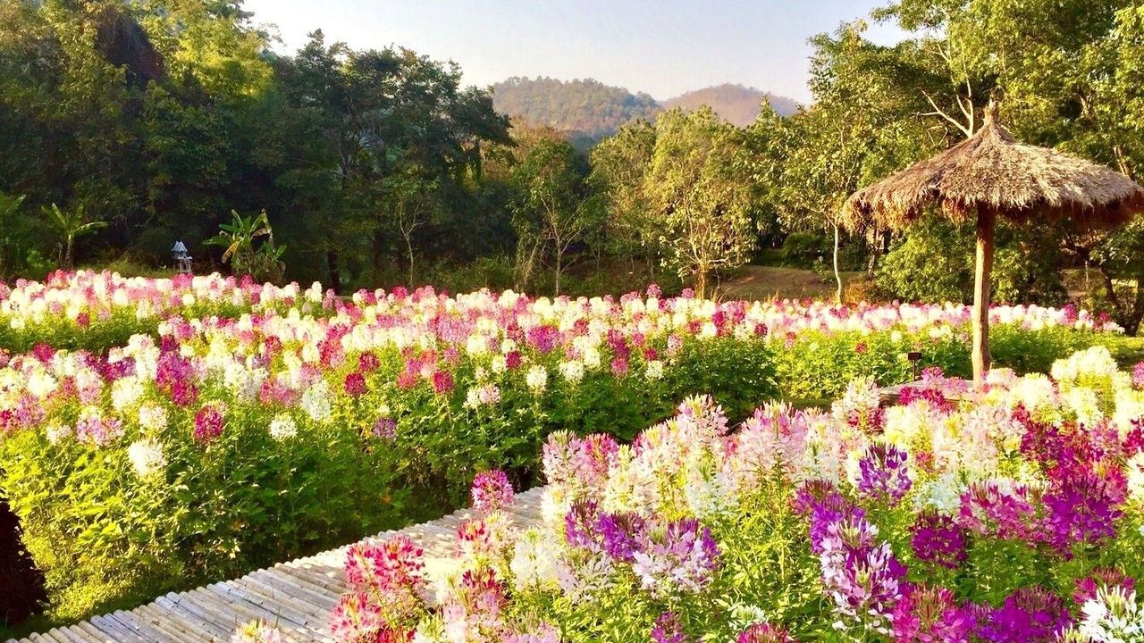 Photo of Outdoor in Kuet Chang