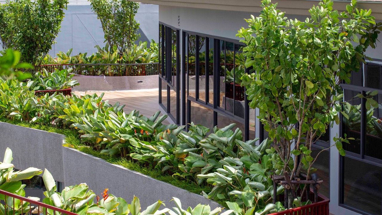 Photo of Outdoor in Phuket