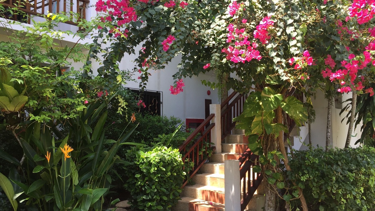 Photo of Outdoor in Nai Harn